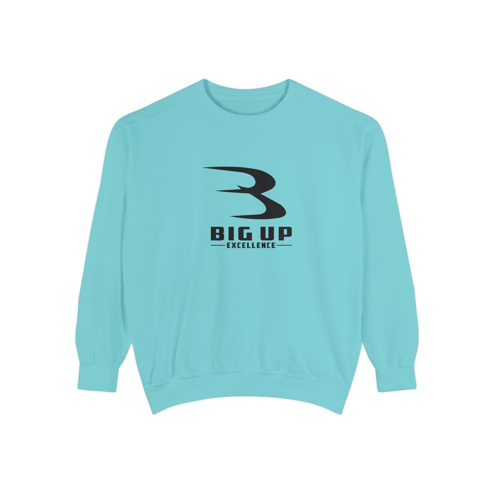 Unisex Garment-Dyed Sweatshirt