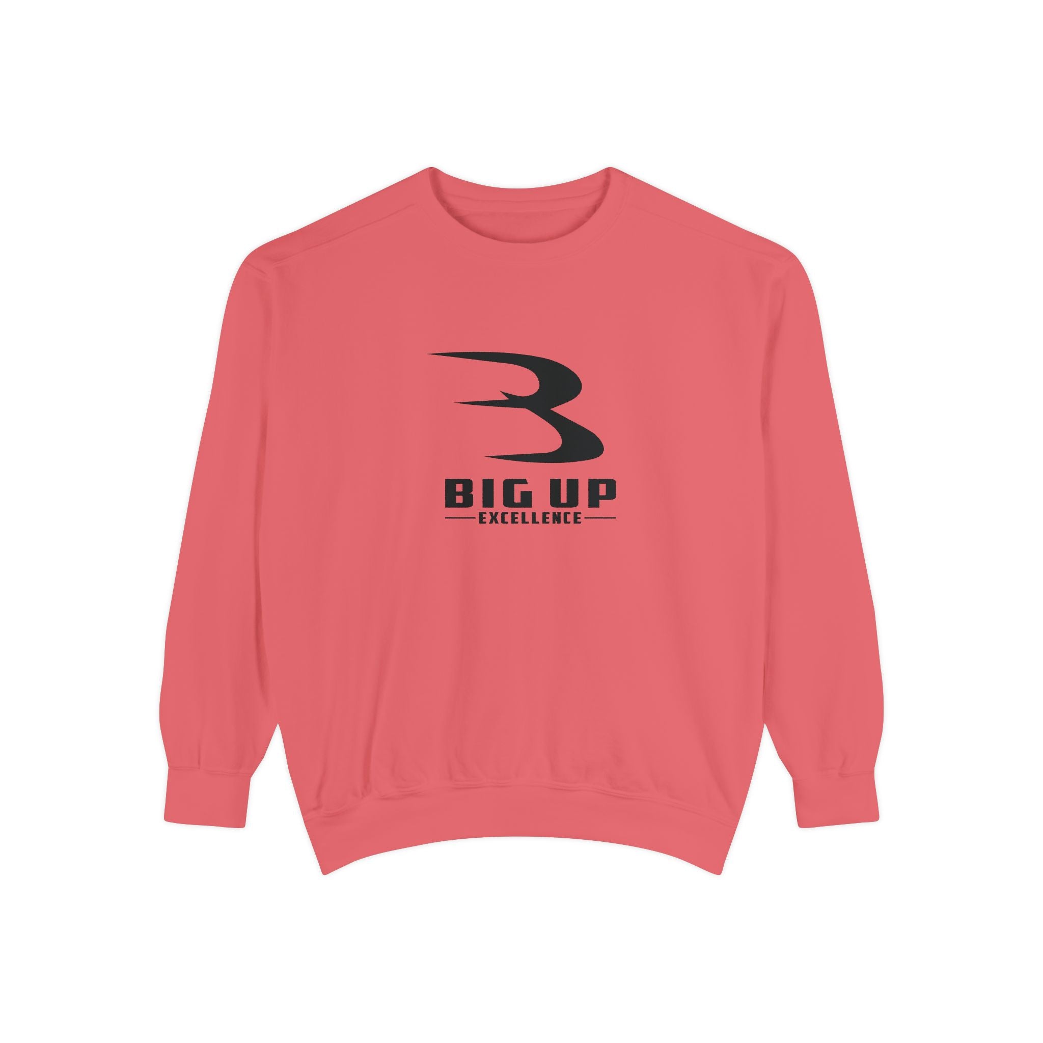 Unisex Garment-Dyed Sweatshirt