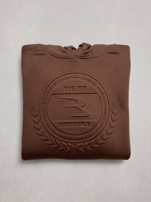 Big Up Excellence (Brown) Hoodie